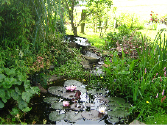 Ländlicher Garten