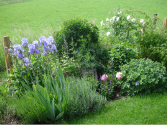 Ländlicher Garten