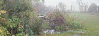 Ländlicher Garten