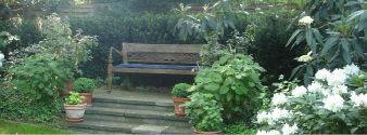 Schattengarten