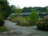 Schulzentrum